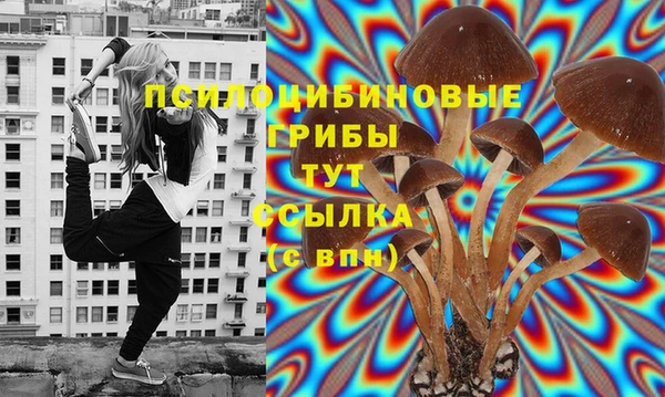 таблы Абинск