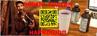 индика Усть-Джегута