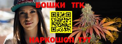 индика Усть-Джегута