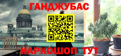 индика Усть-Джегута