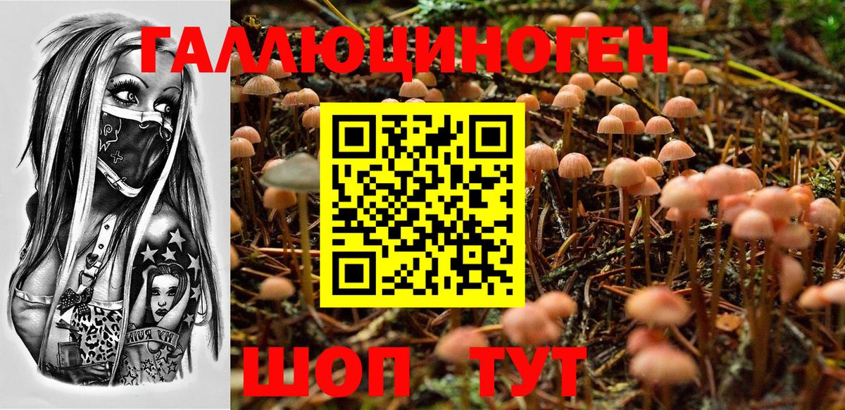 Галлюциногенные грибы Magic Shrooms  Вход с VPN  Шумерля 